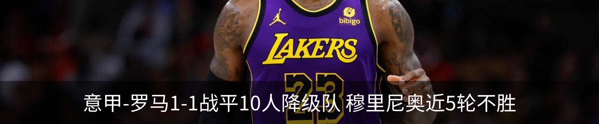 最新动态